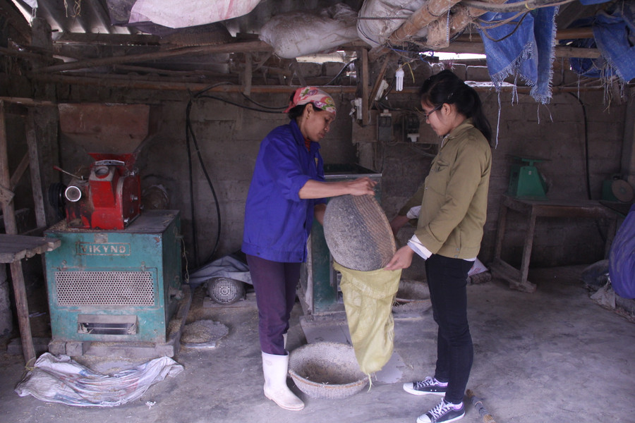 Ngoài những giờ lên lớp, Dung tranh thủ phụ giúp mẹ xay gạo cho khách.