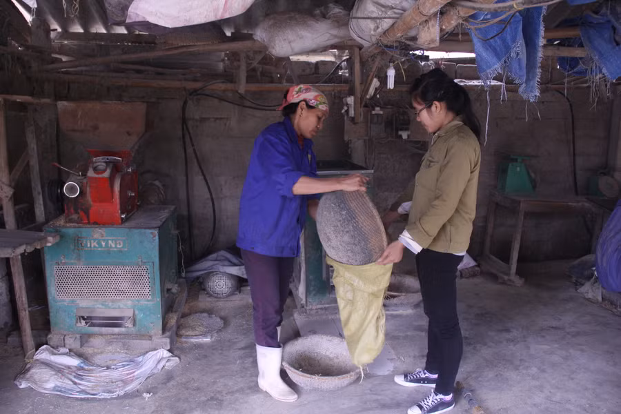 Ngoài những giờ lên lớp, Dung tranh thủ phụ giúp mẹ xay gạo cho khách.