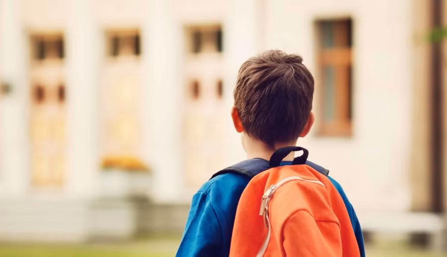 Sự khác biệt tâm lý của bé trai và bé gái trong học tập ảnh 4