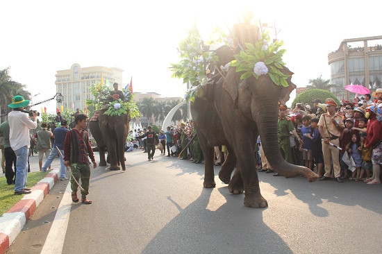 Voi là biểu tượng đặc sắc của Tây Nguyên, tượng trưng cho sức mạnh, lòng can đảm, sự thông minh, chính trực và ý chí kiên cường.