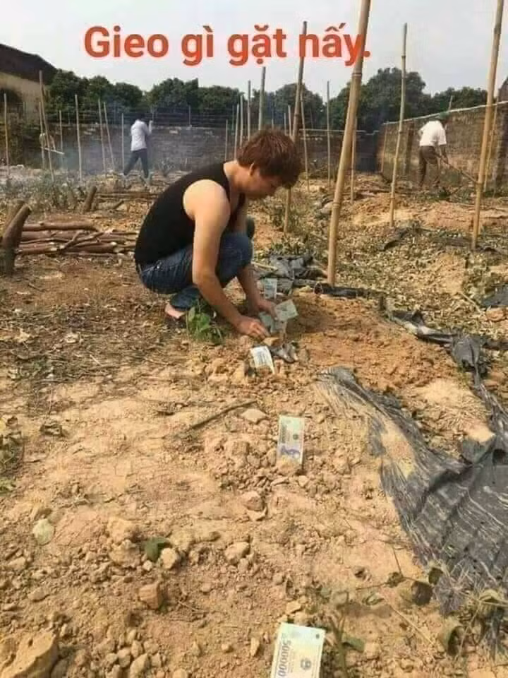 Các bạn thử đi thôi.