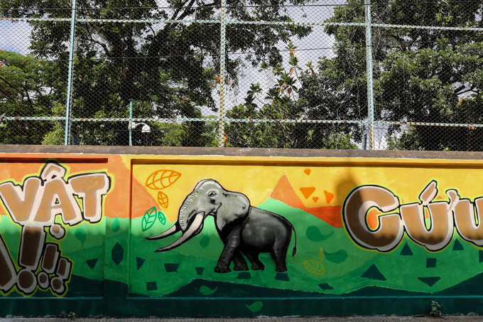 200 người vẽ tranh bảo vệ động vật hoang dã trên đường phố Sài Gòn