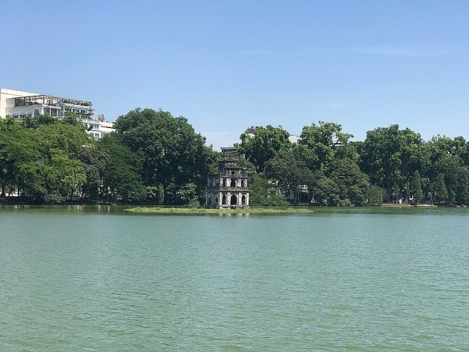 Sau nhiều năm vắng bóng cá dầu hồi sinh trở lại ở hồ Hoàn Kiếm sau nhieu nam vang bong ca dau hoi sinh tro lai o ho hoan kiem