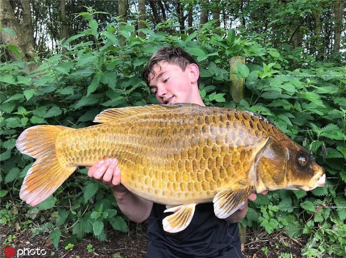 Thiếu niên "sát cá", bắt được thủy quái khổng lồ gây sốc - Hình 4 Thieu nien