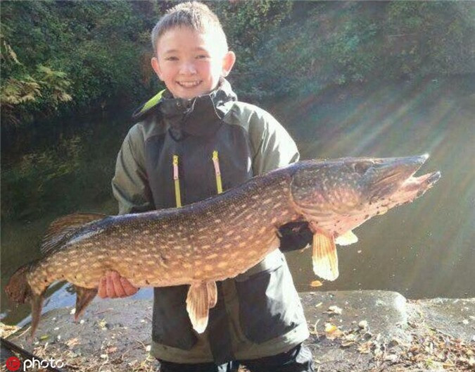 Thiếu niên "sát cá", bắt được thủy quái khổng lồ gây sốc - Hình 2 Thieu nien