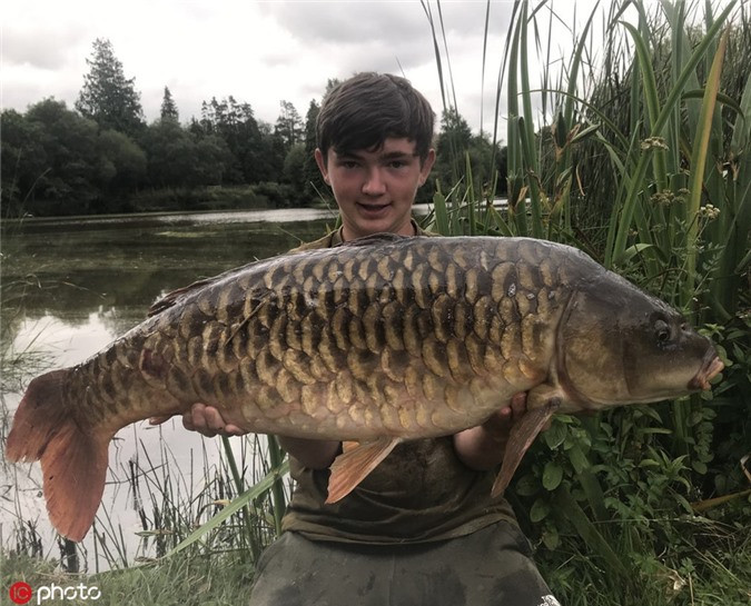 Thiếu niên "sát cá", bắt được thủy quái khổng lồ gây sốc - Hình 5 Thieu nien