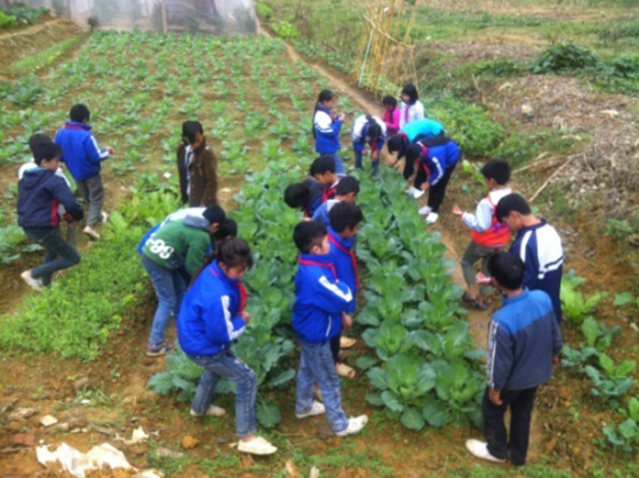 Trường học gắn với thực tiễn còn góp phần thay đổi cách thức học tập của HS Trường học gắn với thực tiễn còn góp phần thay đổi cách thức học tập của HS