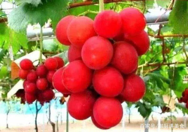 4 loai qua quy hiem tren the gioi, co tien chua chac da duoc an - 4