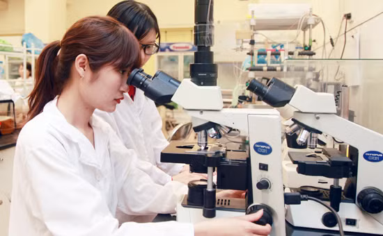 Sinh viên trong giờ thực hành.