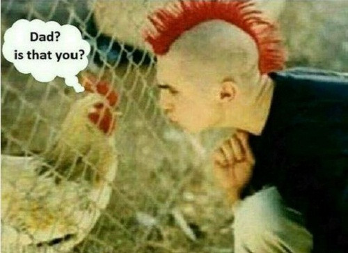 Bố, có phải là bố không?