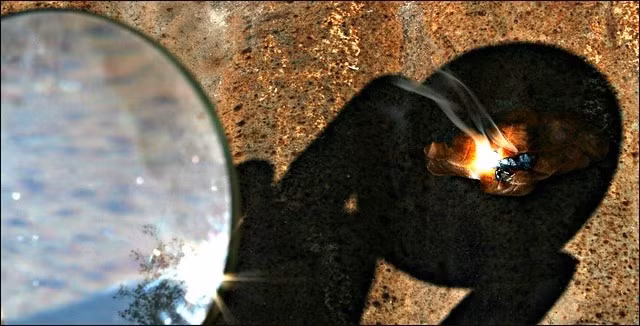 Loạt mẹo sống còn không bao giờ là quá muộn để học