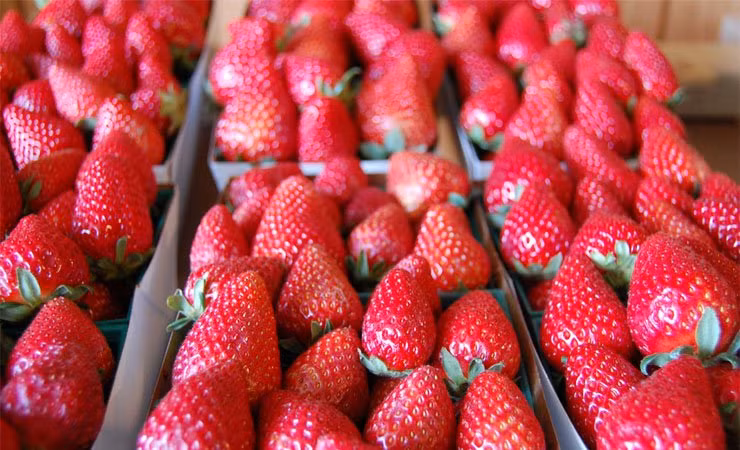 14 kẻ thù của sức khỏe thường xuyên có mặt trong bếp ảnh 11 14 ke thu cua suc khoe thuong xuyen co mat trong bep - 12