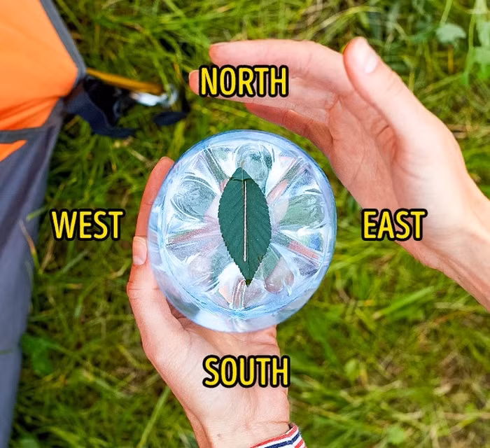 Loạt mẹo sống còn không bao giờ là quá muộn để học