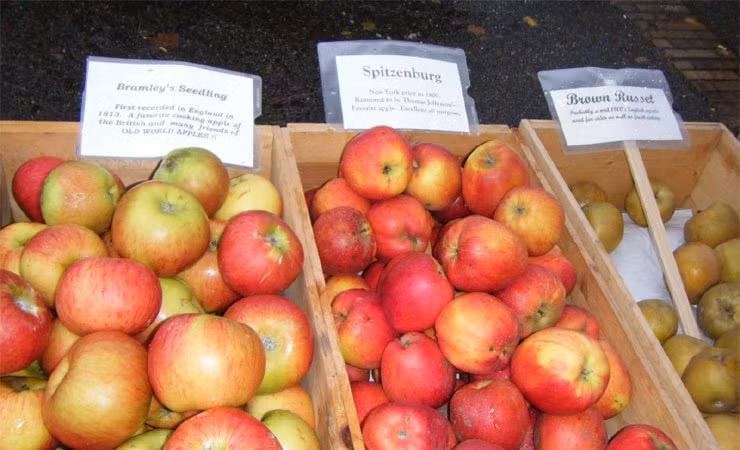 14 kẻ thù của sức khỏe thường xuyên có mặt trong bếp ảnh 4 14 ke thu cua suc khoe thuong xuyen co mat trong bep - 5