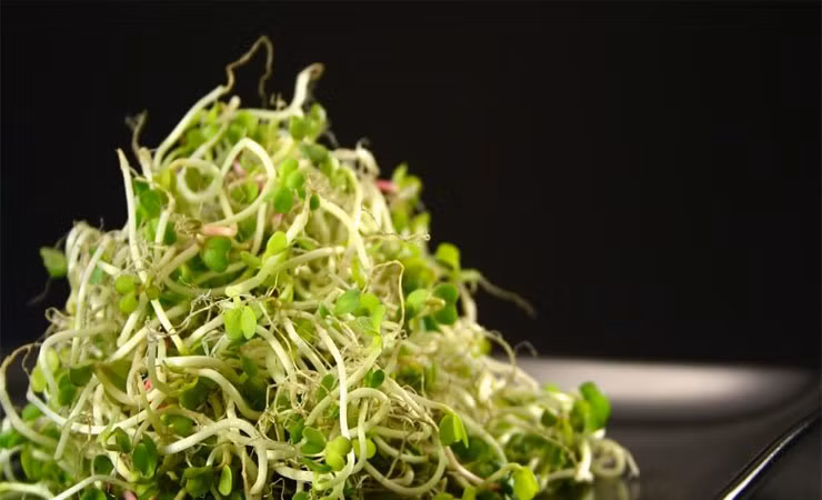 14 kẻ thù của sức khỏe thường xuyên có mặt trong bếp ảnh 13 14 ke thu cua suc khoe thuong xuyen co mat trong bep - 14