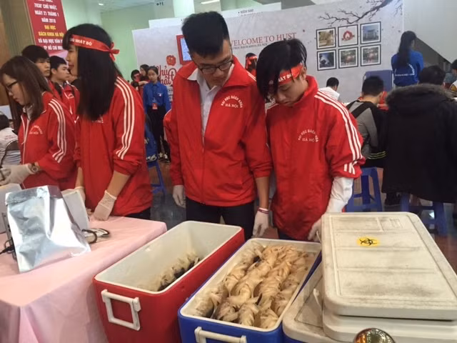 Ngày Chủ nhật Đỏ thu hút sự tham gia hàng ngàn học sinh, sinh viên