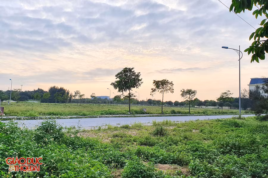 Mặc dù từng được UBND tỉnh Nghệ An gia hạn tiến độ, tuy nhiên, đã 15 năm, dự án chỉ mới hoàn thành 1 sân golf 18 lỗ, 10 căn biệt thự mẫu, còn các hạng mục khác như khách sạn 5 sao 420 phòng, khách sạn 3 sao 300 phòng, gần 300 căn biệt thự, khu vui chơi thể thao - dịch vụ bãi biển đến nay vẫn chưa xây dựng.