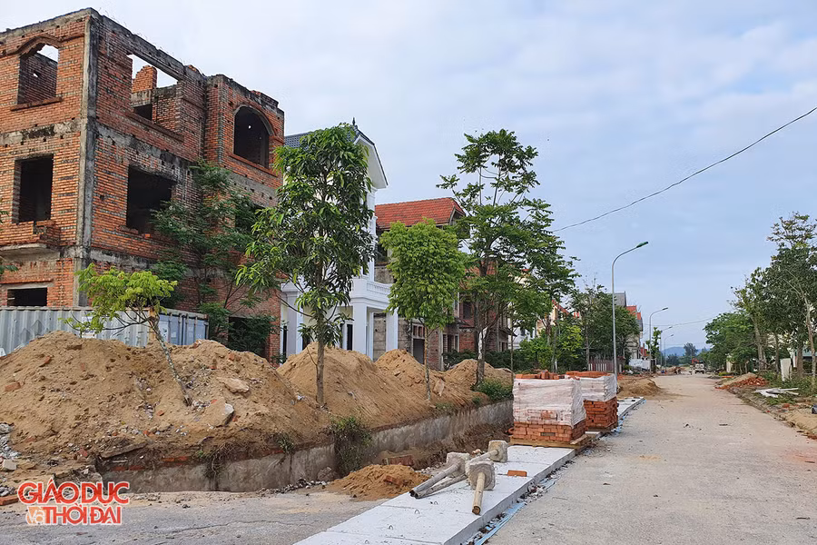 Hiện nay, dự án cơ bản hoàn thành các hạng mục hạ tầng kỹ thuật như đường giao thông, vỉa hè, cây xanh. Tuy nhiên, đơn vị chủ đầu tư mới xây dựng được 66 trên tổng số 245 căn biệt thự. Ngoài những ngôi biệt thự đã được hoàn thiện và chuyển nhượng còn rất nhiều ngôi biệt thư hoang nằm xen kẽ vào nhau.