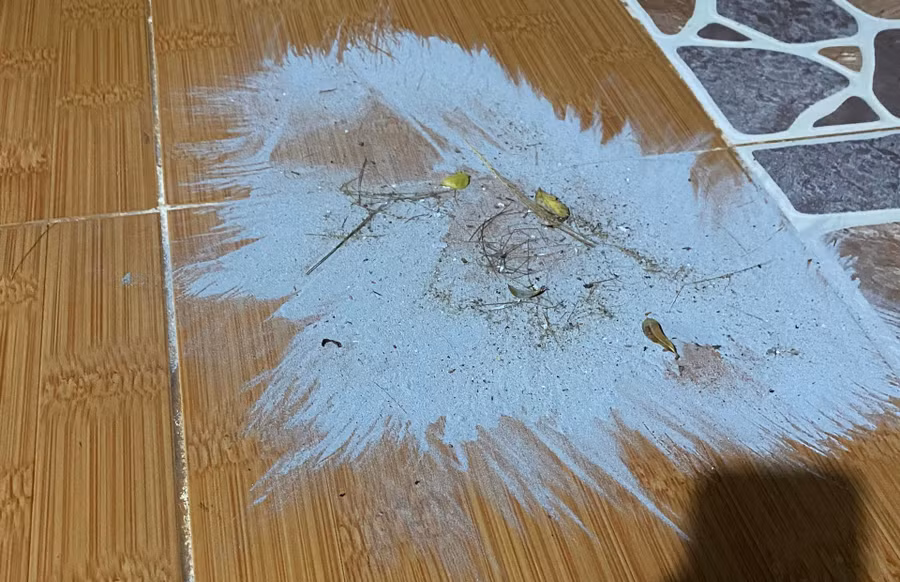 Lớp bột mịn dưới nền nhà được người dân quét gom lại có màu xám trắng.