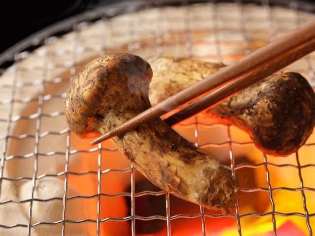 Phát hãi bánh trung thu, đồ nhậu Trung Quốc... siêu rẻ - 3