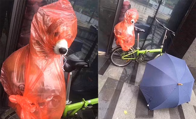 anh che: "ong troi ve loc" lam tran ngap sieu to khong lo hinh anh 3