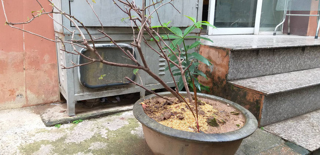Hà Nội: Bà đi chợ để cháu trai 3 tuổi ở nhà một mình, bé rơi từ tầng 6 chung cư xuống đất tử vong - Ảnh 2. Hà Nội: Bà đi chợ để cháu trai 3 tuổi ở nhà một mình, bé rơi từ tầng 6 chung cư xuống đất tử vong - Ảnh 2.
