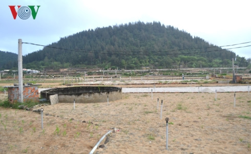 đảo lý sơn đối mặt với khô hạn hình 1 dao ly son doi mat voi kho han hinh 1