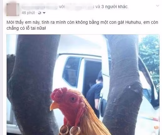 Cô gà sang chảnh nhất quả đất với đôi hoa tai 2 chỉ vàng nặng trĩu. (Ảnh: Internet)