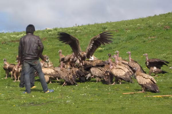 Ớn lạnh với 10 điều kì quặc người ta từng làm với thi thể người chết ảnh 9