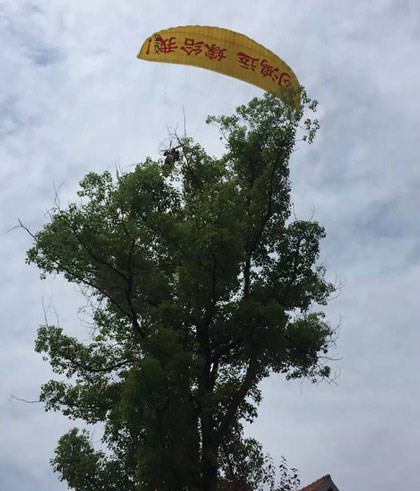 Nhảy dù cầu hôn, chàng trai bị mắc kẹt trên ngọn cây ảnh 2 Nhảy dù cầu hôn, chàng trai bị mắc kẹt trên ngọn cây - ảnh 2