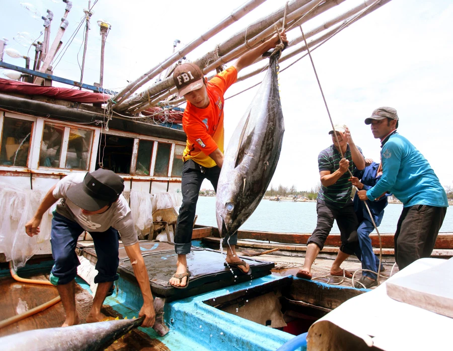 Điểm tựa cho ngư dân bám biển