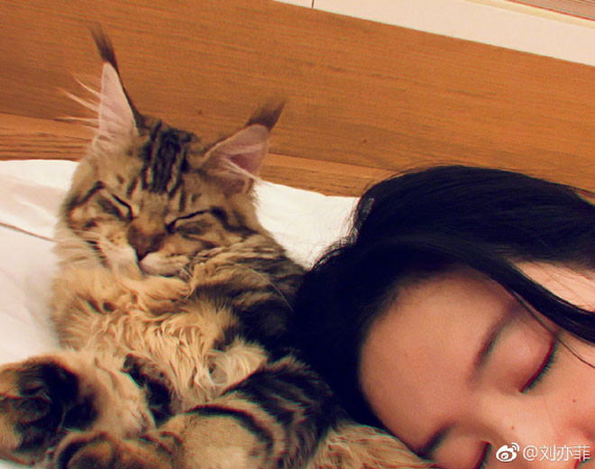 Lưu Diệc Phi khoe ảnh không son phấn xinh ngỡ ngàng hình ảnh 5 luu diec phi khoe anh khong son phan xinh ngo ngang hinh anh 5