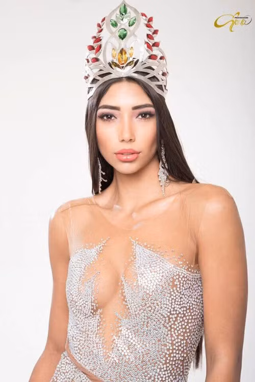 Xôn xao quanh việc hoa hậu bị tước vương miện - Ảnh 1.