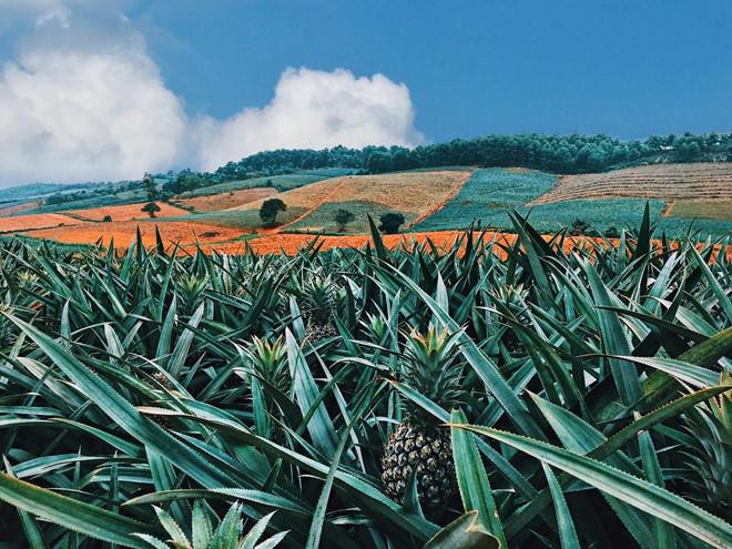 Sắp đến kỳ nghỉ 30/4, đừng quên 3 nơi “sống ảo” hot nhất miền Bắc 2019 ảnh 7 sap den ky nghi 30/4, dung quen 3 noi "song ao" hot nhat mien bac 2019 - 8