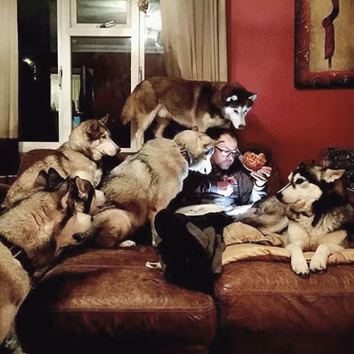 Chỉ một sơ suất là mất phần ăn ngay. Chỉ một sơ suất là mất phần ăn ngay.