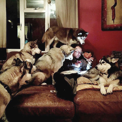 Chỉ một sơ suất là mất phần ăn ngay. Chỉ một sơ suất là mất phần ăn ngay.