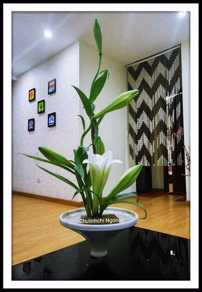 Trăm kiểu cắm bình hoa loa kèn đẹp ngơ ngẩn ảnh 12