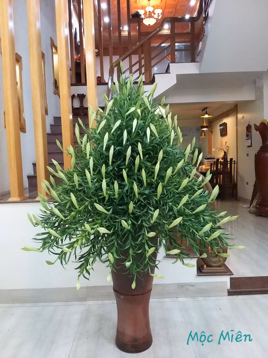 Trăm kiểu cắm bình hoa loa kèn đẹp ngơ ngẩn ảnh 10