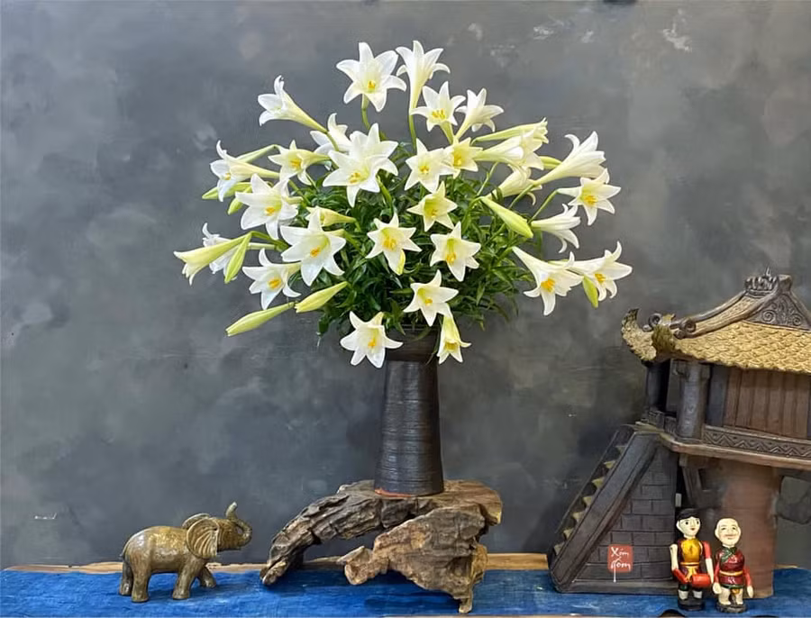 Bình 50 bông kèn đơn cắm gác cành