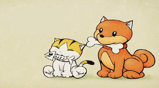 Những con giáp luôn khắc khẩu nhưng là cặp đôi hoàn hảo trong hợp tác làm ăn ảnh 1