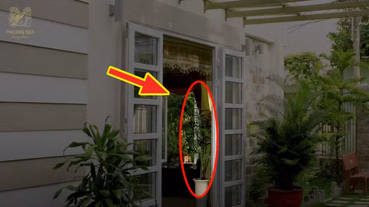 Mở cửa chính vào nhà nhìn thấy những thứ này, sớm muộn tiền bạc sẽ tiêu hao