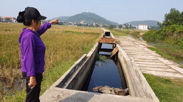 Hàng chục mét mương hộp để hở khiến mùi hôi thối bốc lên nồng nặc, khiến người dân bức xúc