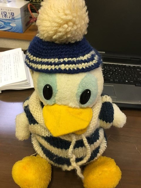 Bảo tàng Nhật Bản “miệt mài” suốt 30 năm tìm chủ nhân con vịt bông ảnh 1