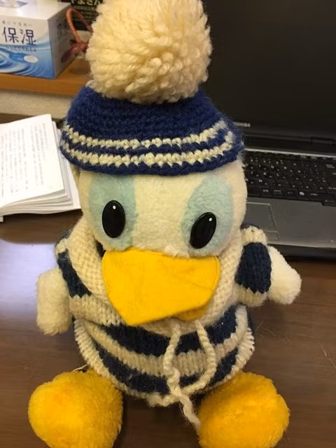 Bảo tàng Nhật Bản “miệt mài” suốt 30 năm tìm chủ nhân con vịt bông ảnh 1