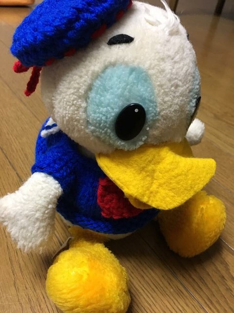 Bảo tàng Nhật Bản “miệt mài” suốt 30 năm tìm chủ nhân con vịt bông ảnh 2