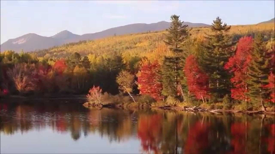 4 câu “thần chú” giúp bạn an yên, vượt qua hết buồn vui cuộc đời 4 cau than chu giup ban an yen vuot qua het buon vui cuoc doi