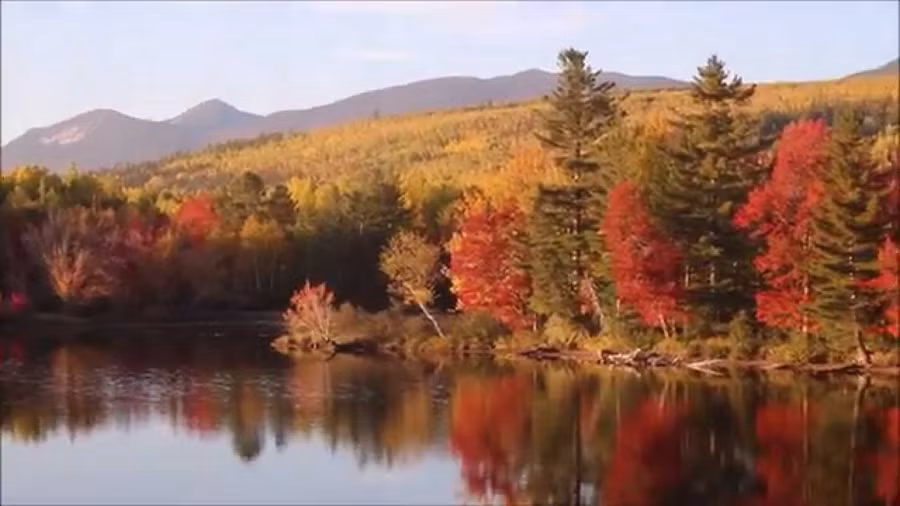 4 cau than chu giup ban an yen vuot qua het buon vui cuoc doi