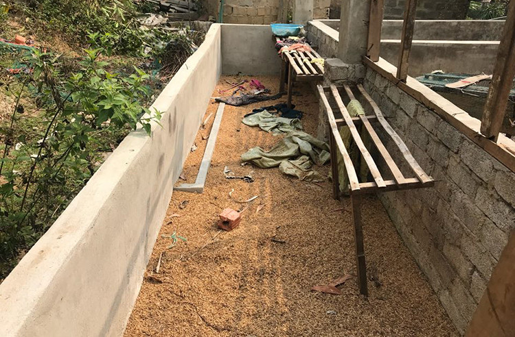 Bác sĩ pháp y giải mã cái chết của thiếu nữ giao gà