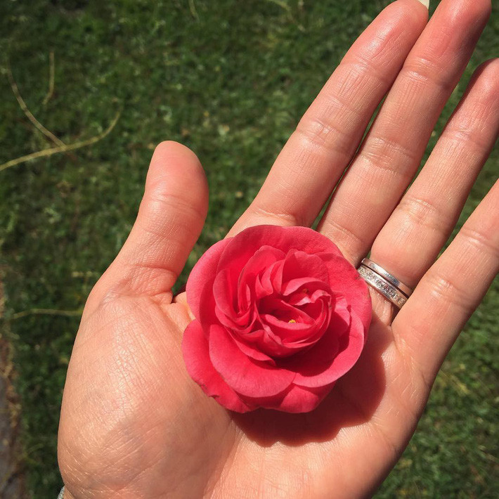 - Ảnh 7.  - Ảnh 7.