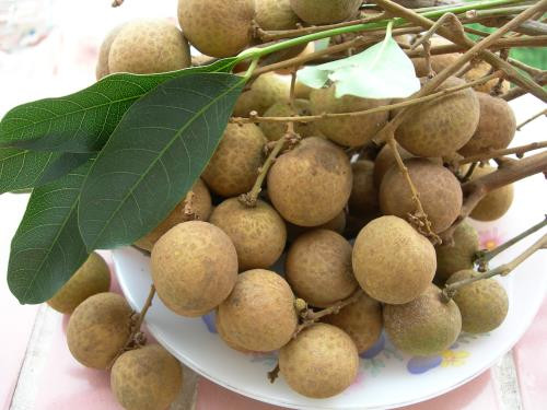 Tại sao bạn nên ăn trái cây đúng mùa? Tai sao ban nen an trai cay dung mua?